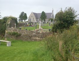 The Griffin Family of Knockbrack, Brosna, Kerry, Ireland